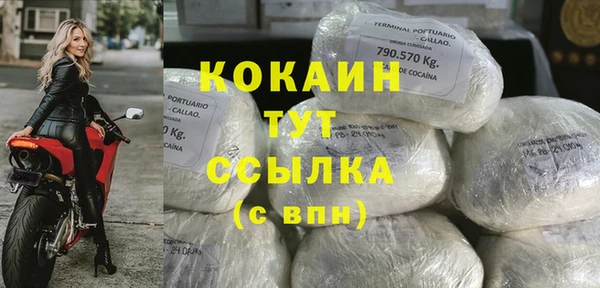 PSILOCYBIN Усмань
