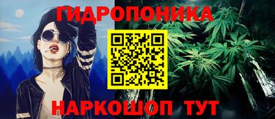 амф Новодвинск