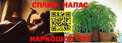 скорость Новозыбков