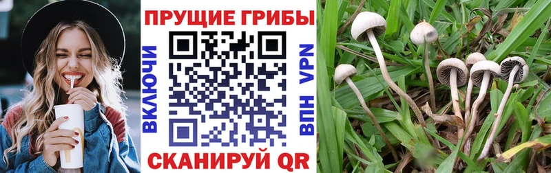 МЕГА сайт Омск Псилоцибиновые грибы прущие грибы
