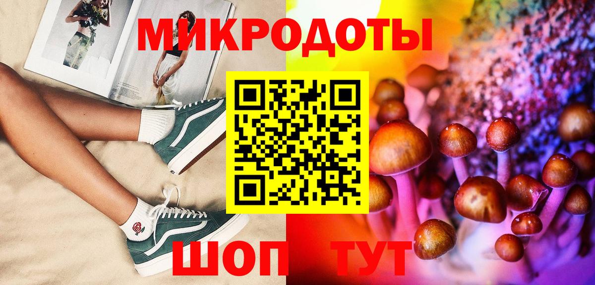 Псилоцибиновые грибы мицелий  Омск  Псилоцибиновые грибы Cubensis 