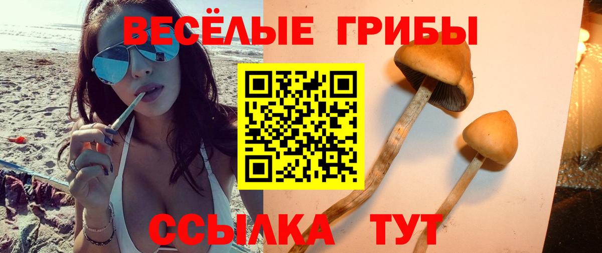 Псилоцибиновые грибы GOLDEN TEACHER Омск