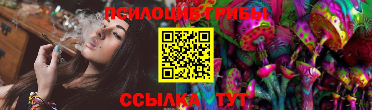 Омск  Галлюциногенные грибы MAGIC MUSHROOMS  Псилоцибиновые грибы мицелий  Вход с VPN 